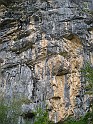 DSC06791
