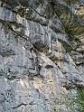 DSC06866