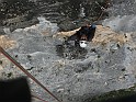 IMG_7909