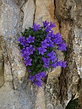 IMG_5823