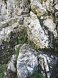IMG_5827