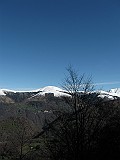 IMG_9780