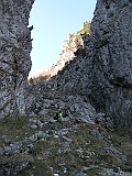 IMG_9785