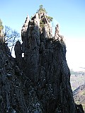IMG_9790