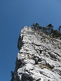 IMG_9800