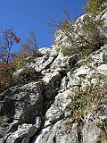 IMG_7936