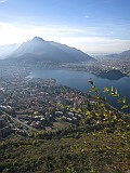 IMG_7954