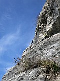 IMG_7959