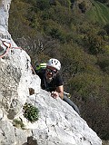 IMG_7964
