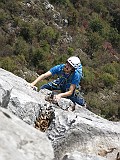IMG_7994