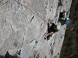 IMG_7996