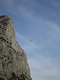 IMG_8000