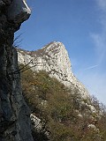 IMG_8007
