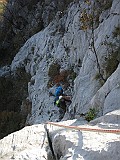 IMG_8008