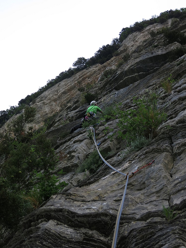 IMG_0561.JPG