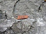 IMG_0541