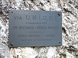 IMG_4808