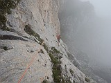DSCN6629