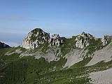 IMG_0954