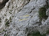 IMG_0957