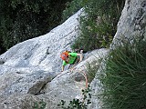 IMG_8595