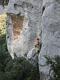 IMG_8598