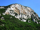 IMG_8610