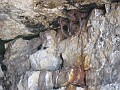 IMG_1329