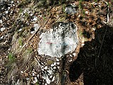 IMG_4611