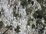 IMG_4629