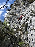 IMG_4636