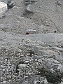 IMG_1587
