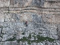 IMG_1605