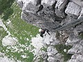 IMG_1464