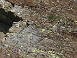 IMG_0128