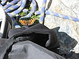 IMG_0131