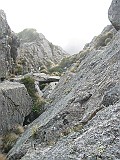 IMG_0184