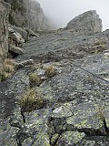 IMG_0190