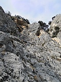 IMG_9466
