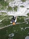IMG_0831