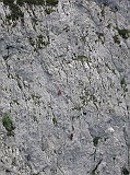 IMG_0832