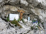IMG_0929
