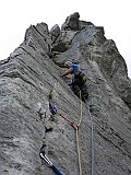 IMG_0441