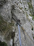 IMG_0450
