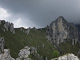 IMG_0452