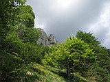 IMG_0457