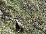 IMG_4708