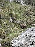 IMG_4709
