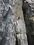 IMG_4722