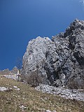 IMG_3978